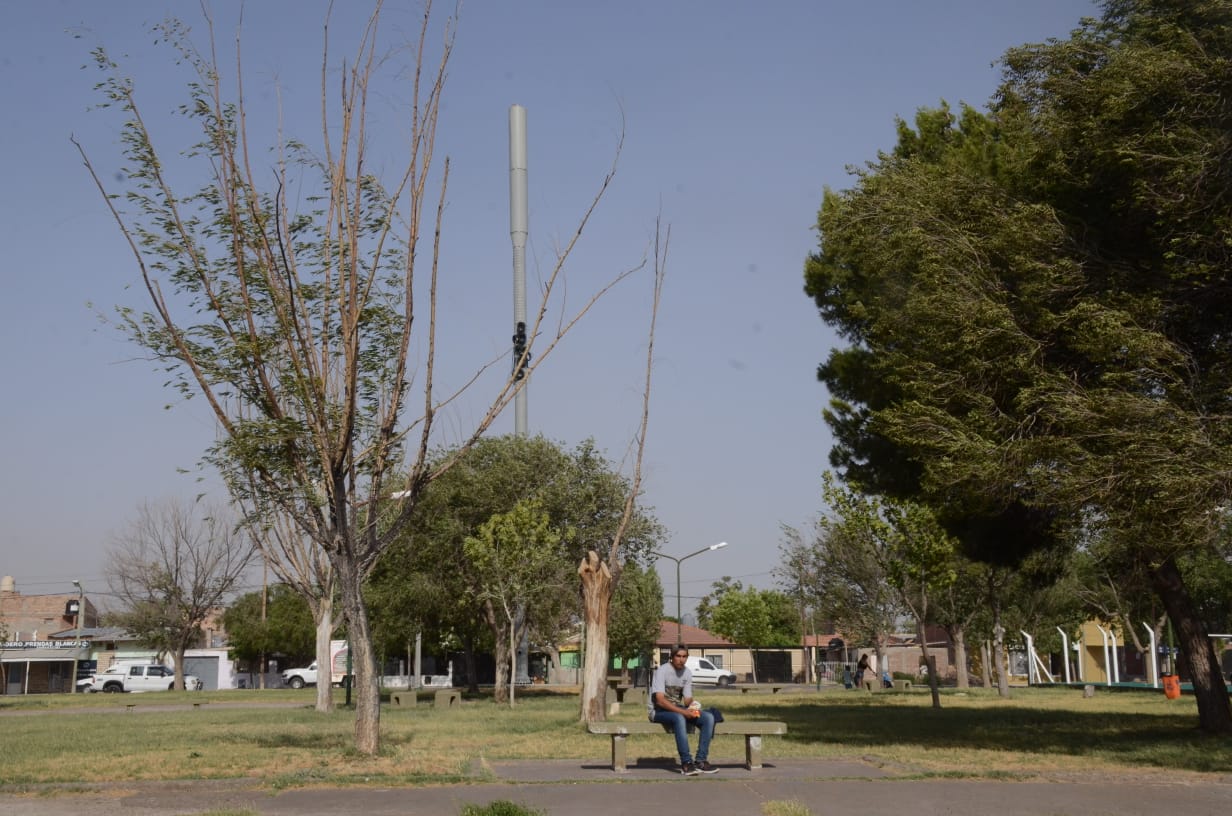 Los vecinos de distintos barrios están preocupados por la construcción de antenas en sus plazas. (Yamil Regules).-