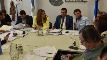 Buteler defendió el proyecto del Ejecutivo el martes, durante el plenario de comisiones previo a la sesión de este jueves.