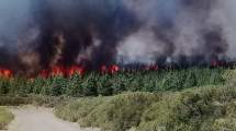 Imagen de Neuquén también siente el impacto del cambio climático en los incendios