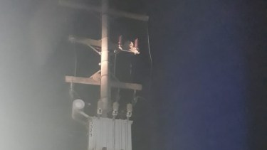 Séptimo robo de cables en Godoy: Regina, también afectada
