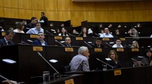 Imagen de El MPN y Todos se repartieron el poder en las comisiones legislativas