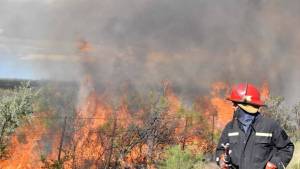 Bomberos combatían incendio forestal cerca de Conesa
