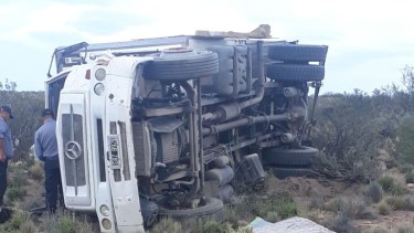 El camión Mercedes Benz quedó volcado a la vera de la ruta. (foto: gentileza)