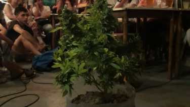 La actividad «Hablamos de marihuana» reunió a una gran cantidad de personas en Cipolletti