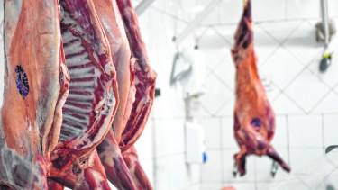 Los consumidores buscan otras alternativas.La principal opción es el asado vacuno. Otra tendencia es comprar por kilo. 