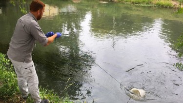 La recolección de agua se realizó con un equipo multiparamétrico, informaron desde el gobierno provincial.
