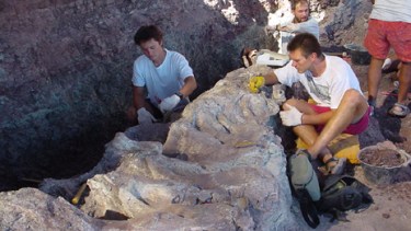 En Los Barreales se hallaron más de 1100 piezas fósiles de vertebrados. Foto: Gentileza  