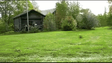 Buen momento para acordarse de arreglar el patio de casa.-