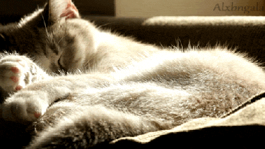 Dan ganas de volver a quedarse en la cama hoy.-