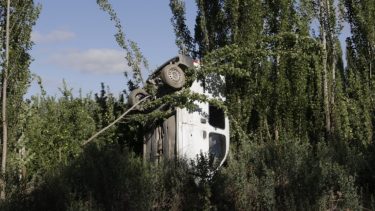 Roca: “voló” sobre el canal y terminó “clavada” en una hilera de álamos
