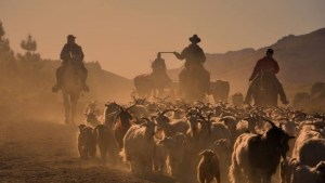 Sale del horno un libro sobre los aromas, sabores y saberes del norte neuquino