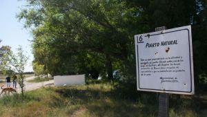 Con diversas propuestas, Guardia Mitre celebra sus 157 años