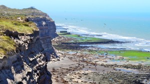 Río Negro, uno de los más importantes yacimientos de huellas de América del Sur