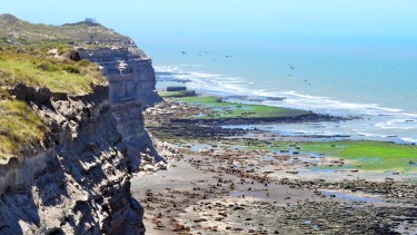 Foto: Marcelo Ochoa.