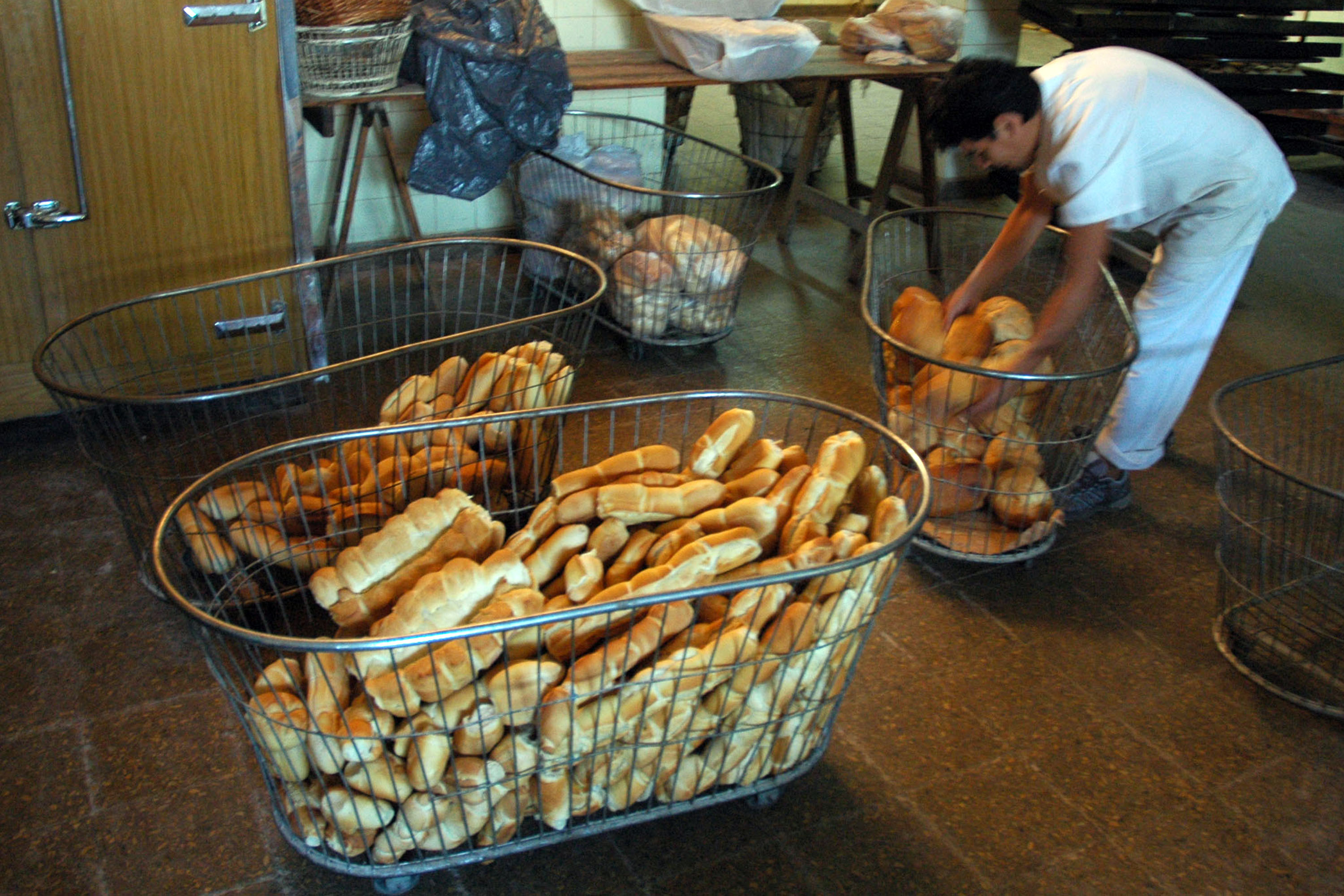 Image: https://www.rionegro.com.ar/wp-content/uploads/2019/12/vf-fondo-asistencia-al-desocupado-3-1.jpg