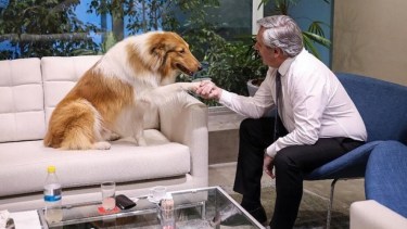 Alberto Fernández y su perro Dylan, en el departamento de Puerto Madero. Foto: archivo.-