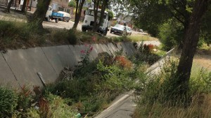 Limpiarán un canal de drenaje de Zapala que está  descuidado