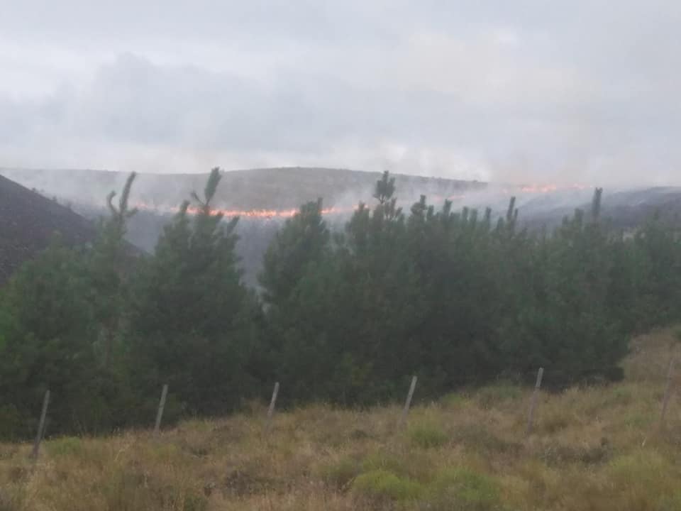 El incendio en Junín de los Andes Foto: Facebook FM Cordillerana