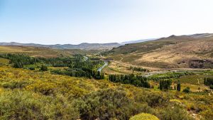 Buraleo: el paraíso de la pesca y las flores silvestres en el norte neuquino