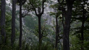 Cesó el alerta y reabren los senderos en la cordillera