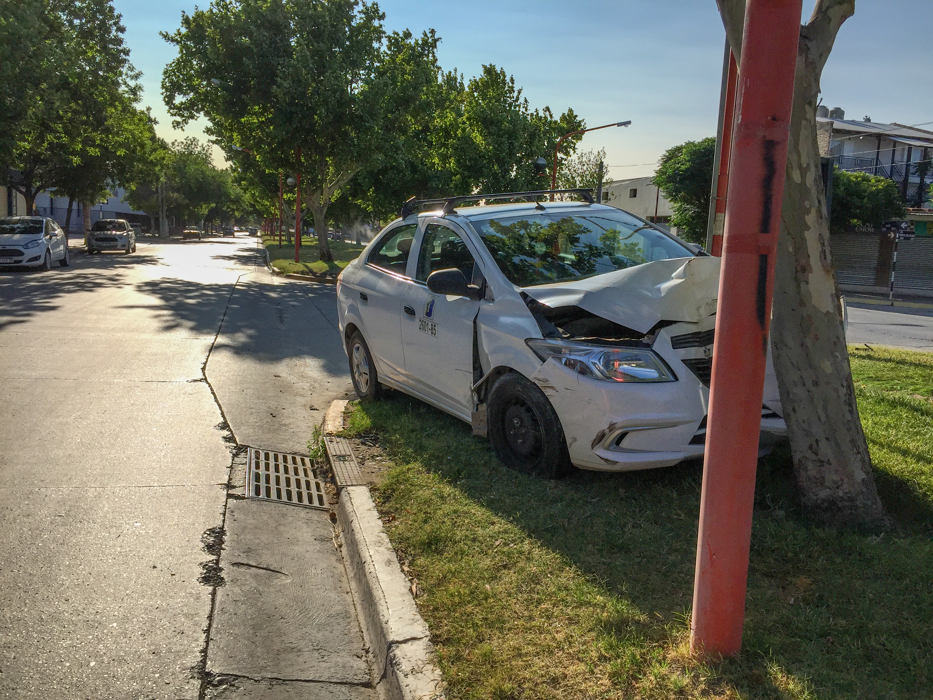 Por una mala maniobra un taxi terminó colisionando contra un arbol en la calle Alem. (Foto gentileza)