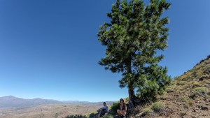 Huinganco: se viene la caminata al solitario Pino Guacho en la Cordillera del Viento
