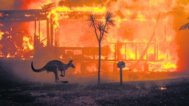 Lecciones que deja una Australia  en llamas