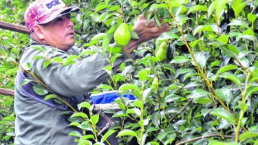 El granizo retrasó la largada en Centenario y Vista Alegre