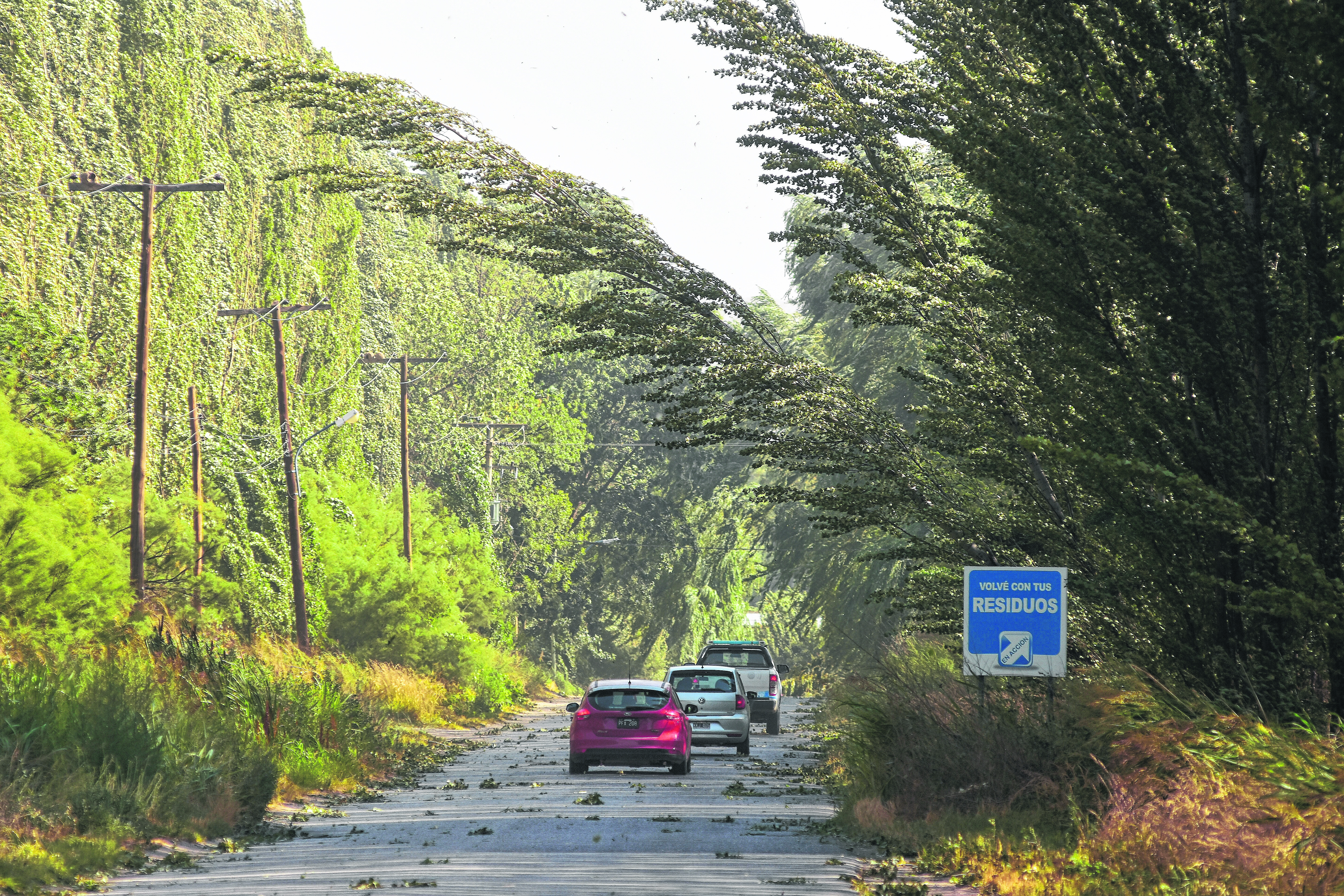 Este año las fuertes ráfagas de viento generaron problemas en las zonas rurales de Roca. (foto: archivo)
