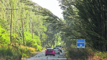 Este año las fuertes ráfagas de viento generaron problemas en las zonas rurales de Roca. (foto: archivo)