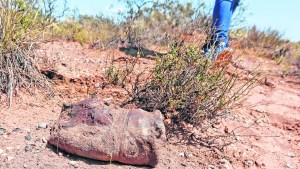 El misterioso cementerio militar de Vaca Muerta