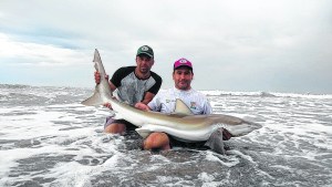 Así pescan y devuelven tiburones al mar en el Camino de la Costa