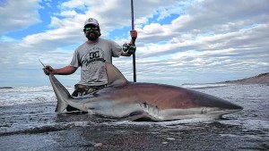 El pescador de tiburones que los devuelve al mar en el Camino de la Costa
