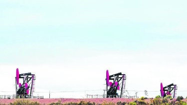 El área está ubicada en la zona oeste de Río Negro, cerca de un paraje de 100 habitantes.  