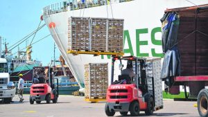 El dólar agro no logró aumentar las exportaciones frutícolas de Río Negro y Neuquén