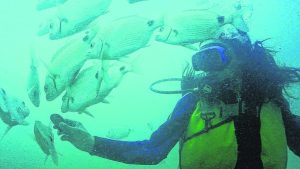 Las Grutas: Se ampliará el parque submarino con una nueva embarcación