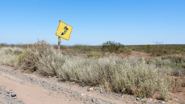 El lugar se ubica a unos 30 kilómetros al norte de San Patricio del Chañar. Foto Juan Thomes