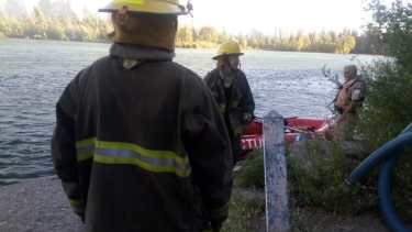 El incendio se desató ayer en una isla del río Limay. (Gentileza Bomberos).-