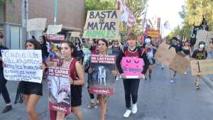 El cambio climático movilizó a las organizaciones en Neuquén