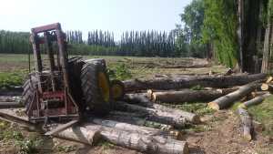 Lo pasó un tractor por arriba y está grave