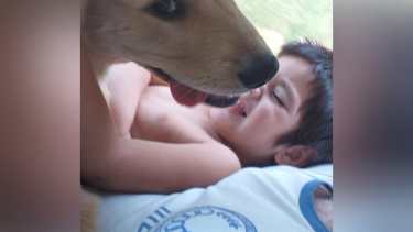 Toto se reencontró con su familia. Foto: gentileza 