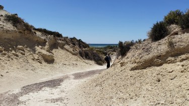 El impactante Cañadón de Las Ostras, 20 km al sur de Las Grutas. Fotos de Martín Brunella. 