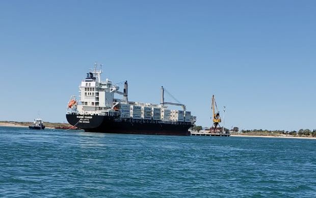 Comenzó la primera carga de peras rumbo a los mercados de ultramar ...