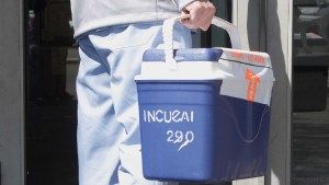 Nueva donación de órganos en el hospital de Cipolletti ayudará a un paciente de Buenos Aires