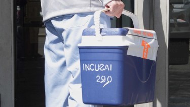 Un exitoso operativo de ablación se realizó en el hospital de Roca. Foto: Ilustrativa. 