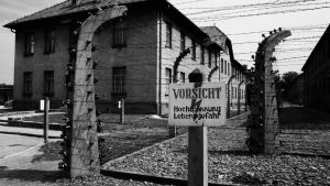 Cómo descubrió el mundo la existencia de los campos de concentración