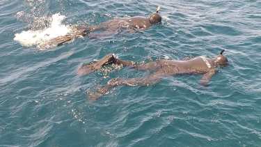 Buzos de Prefectura Naval hicieron varias inmersiones en busca del kayakista sin poder ubicarlo en el lago Nahuel Huapi. (Foto: Gentileza)