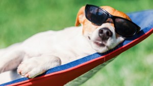 San Antonio, Neuquén y Viedma entre las más calurosas del país