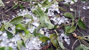 Cayó granizo y la tormenta se hizo sentir en el Alto Valle