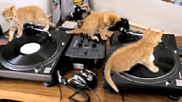 Pronóstico: jueves de sol en la región, para disfrutar